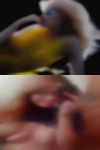 Sluts free dating
