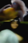 Horny girls fucking decent guys