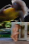 Girls Tupelo, want fuck
