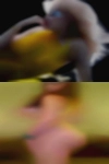 Rock Springs girls want fuck