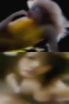 Whore housewife amateur